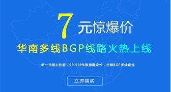 云服務商選擇與因私出入境中介服務的數字化考量