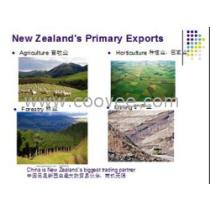 2019年因私出入境中介服務(wù)市場(chǎng) 批發(fā)商角色的深化與挑戰(zhàn)